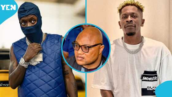 NDC Politician Speaks After EOCO Seized Shatta Wale's Lamborghini