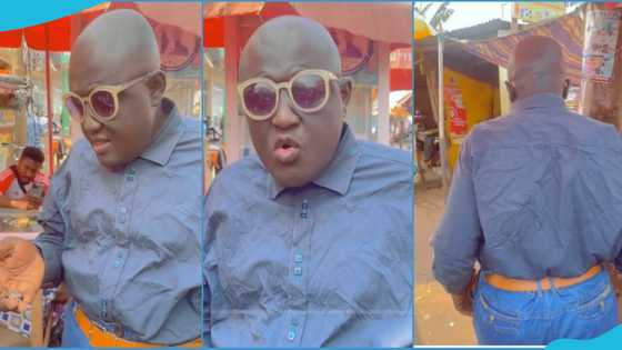 Nana Addo lookalike pops up in video, goes viral as Ghanaians marvel at resemblance