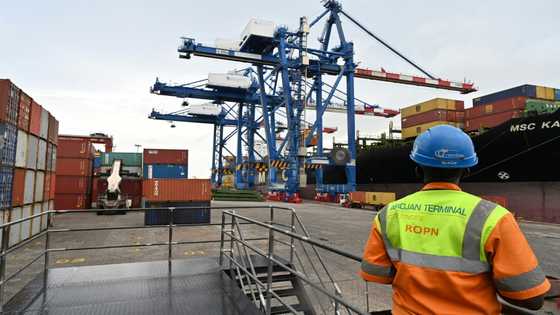 African economies see reasons for optimism despite crises