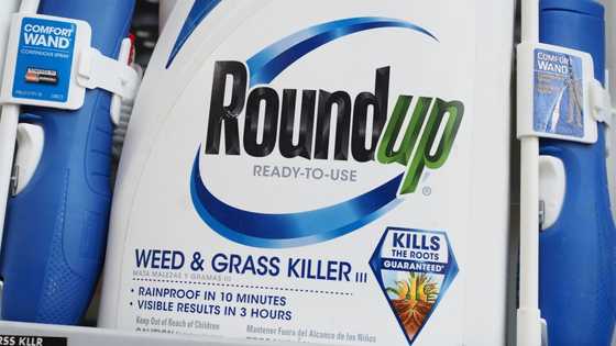 Bayer sets aside more cash to deal with weedkiller woes