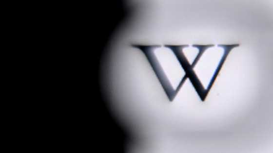 Pakistan PM orders Wikipedia website unblocked