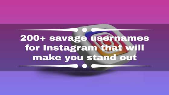 200+ savage usernames for Instagram that will make you stand out