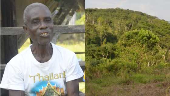 Meet the Ghanaian man who has been living on a mountain in Akome for 20 years; speaks in video