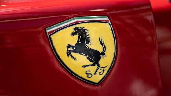 Ferrari reports another record-breaking year
