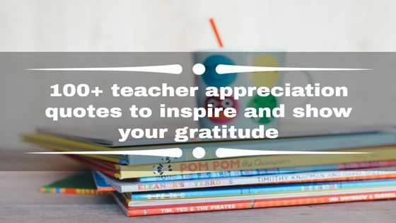 100+ teacher appreciation quotes to inspire and show your gratitude