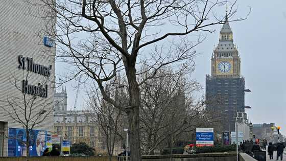 UK researchers cure man who had Covid for 411 days
