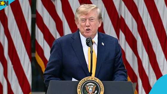 US Green Card Lottery: Donald Trump’s administration cuts annual DV limit by 3,150 slots