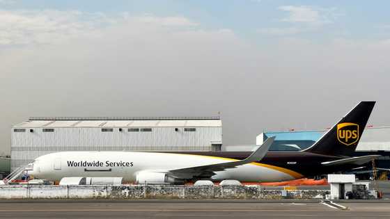 NGO denounces rising air freight pollution