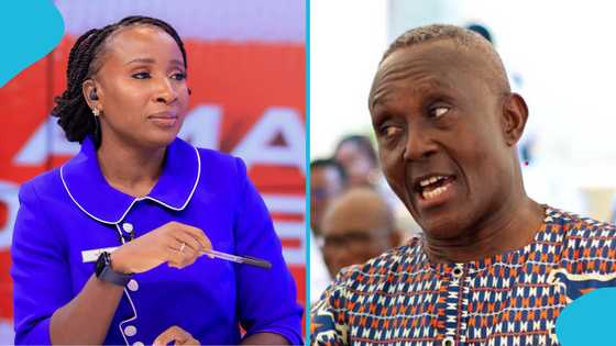 Naa Ashorkor mourns the passing of Mawuli Semevo, drops throwback video