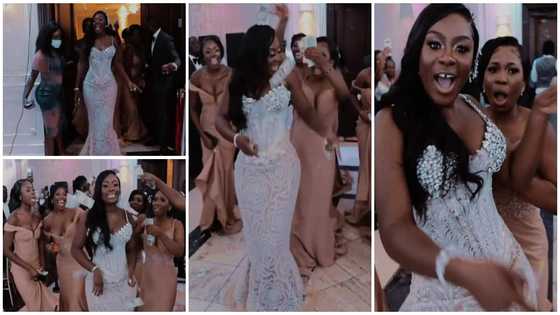 Money talks: Pretty bride storms wedding with bridal train raining cash on her; video gets many talking