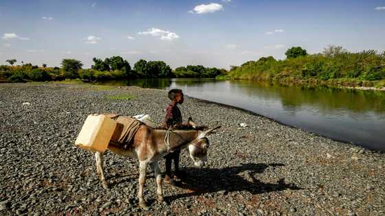 Alarm mounts over escalating Ethiopia-Sudan border tensions