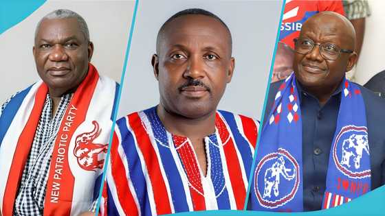 NPP chairmanship race tightens as latest survey shows who is likely to win, results emerge