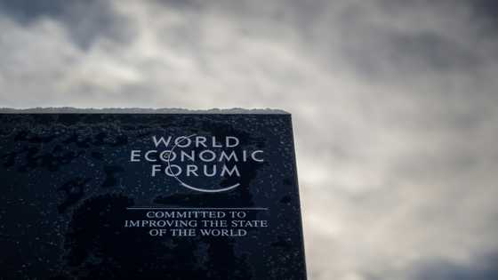 Blinken, Israel's Herzog, Argentina's Milei among Davos A-listers