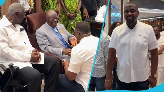 John Dumelo humbly kneels before Otumfuo at Despite's museum, Ghanaians praise his humility