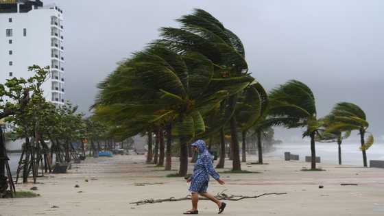 Typhoon Noru tears across Vietnam