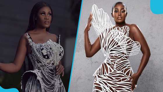 Nana Akua Addo: Ghanaian fashion icon recounts her AMVCA look: It's time for the MET Gala"