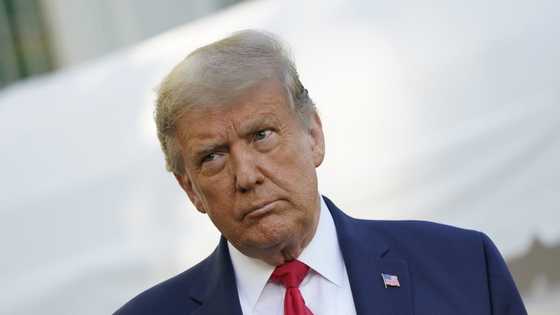 Trump & his 2 sons could face jail time over investigation in Trump Organisation