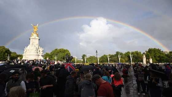 How 1 major natural occurrence at Buckingham Palace before Queen's death shocked many as details emerge