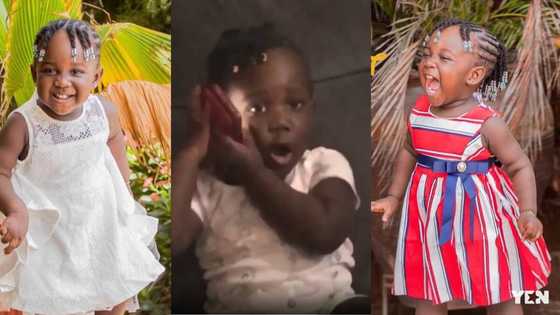 Stonebwoy's daughter Jidula celebrates her birthday in new video