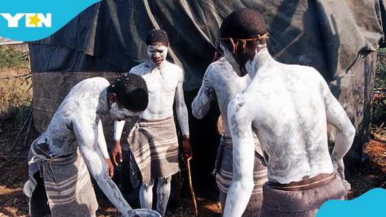 Mass circumcision ceremonies leave 43 boys dead in South Africa