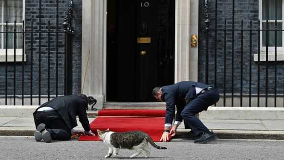 Who could become UK's new PM?