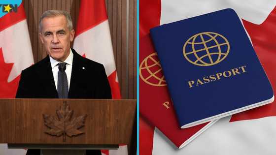 Canada lists 3 conditions to be eligible for urgent processing of permanent residence cards