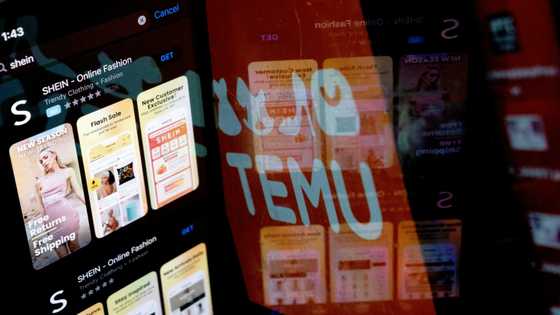 EU seeks new import fee on e-commerce packages