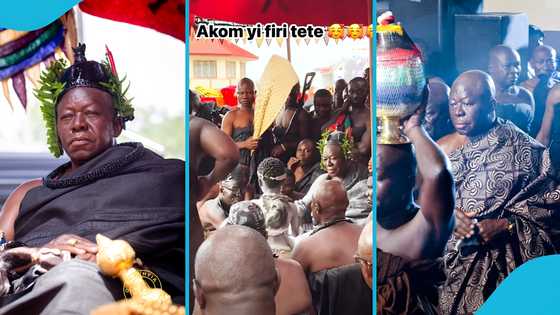 Asantehemaa Funeral: Little priest boldly performs ritual for Otumfuo