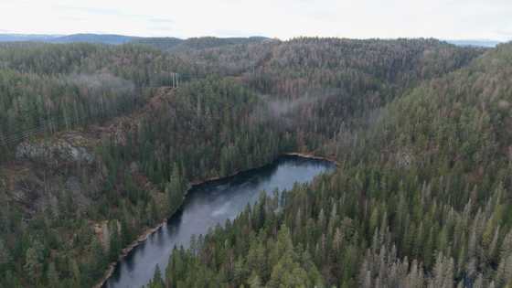 Beetles block mining of Europe's biggest rare earths deposit