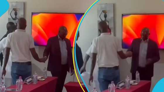 NPP presidential primaries: Small unlooking as Kennedy Agyapong and Bawumia meet at party office
