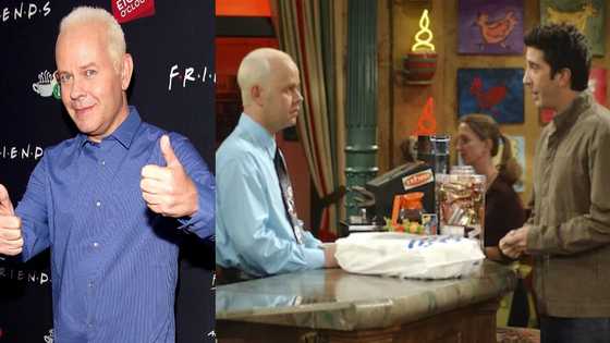 James Michael Tyler: Friends Actor Famous for Playing Gunther Succumbs to Cancer