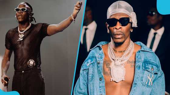 Shatta Wale: Fans mock Stonebwoy For Copying Their Artiste's Ideas In His New Video