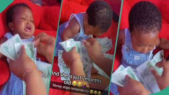 Video shows funny moment a 7-month-old baby stopped crying after seeing wads of cash