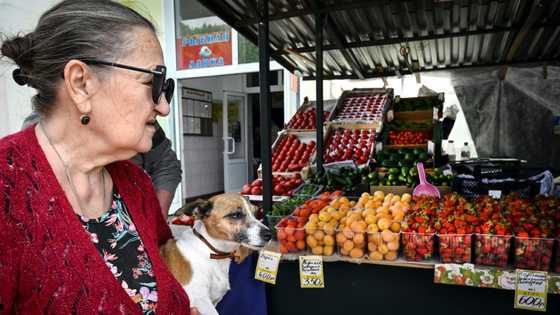 Russia cuts key interest rate, warns of tepid growth