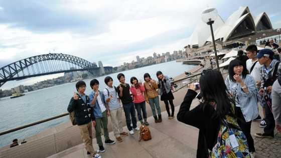 Just 17% of Japan citizens hold passport, data shows