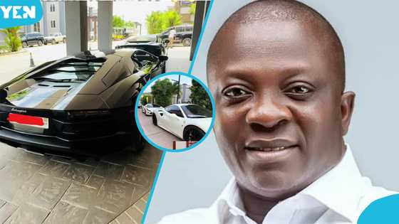 Video gives a peek into the expensive garage of NPP MP with Lamborghinis, Ferraris