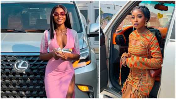 Hardworking lady buys new Lexus GX 460, shows off car in photos; says “grateful for my little wins”