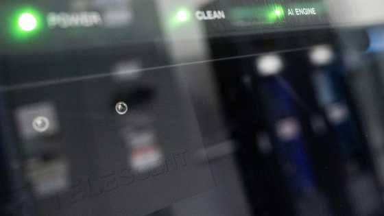 OECD raises US, eurozone growth targets as world economy 'resilient'