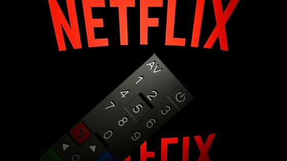 Netflix wins subscribers as ad strategy pays off