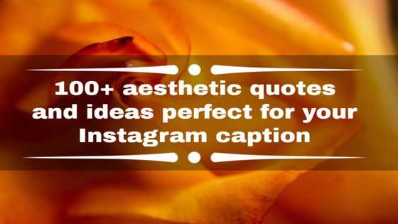 100+ aesthetic quotes and ideas perfect for your Instagram caption