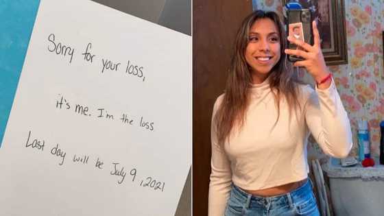 "It's me. I'm the loss" - Lady's Funny Resignation Letter Causes Online Laughter