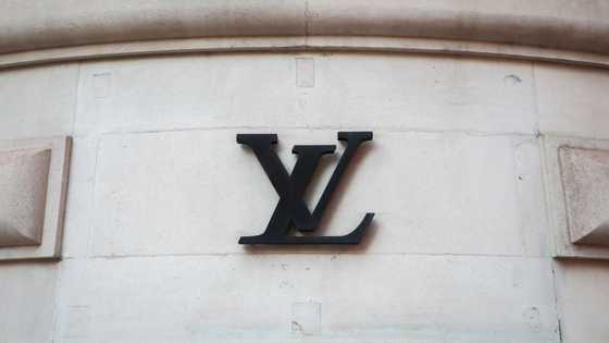 The Louis Vuitton logo: The history behind the logo, meaning, and pattern