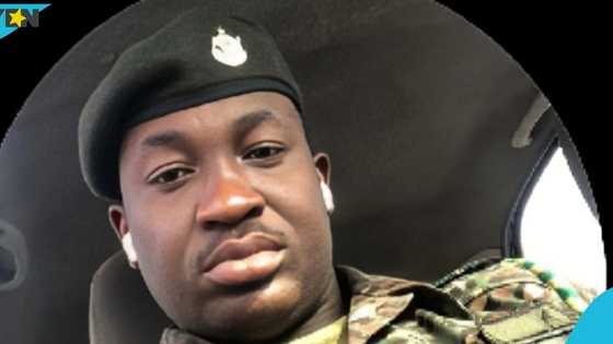 Immigration officer killed by speeding car after assisting stranded driver