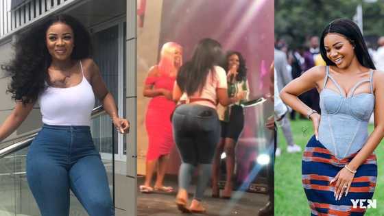Serwaa Amihere flaunts heavy curves in new video; fans say it's fake as her hip pad shows