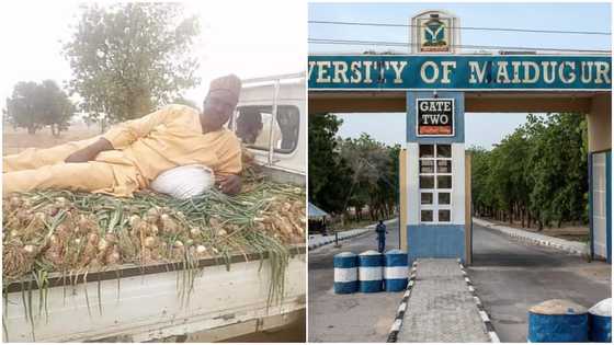Professor Harvests Onions From His Farm, Shows Them Off in Viral Photo