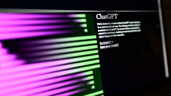 AI poses 'extinction' risk, say experts