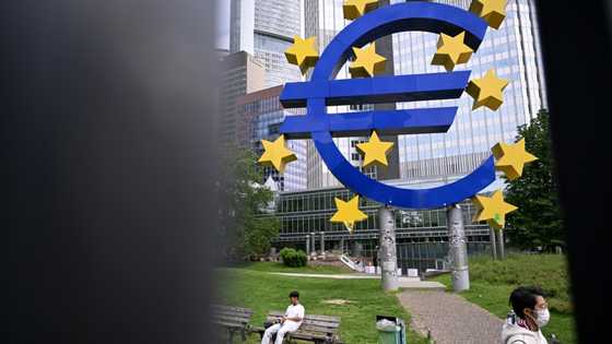 ECB expected to hold rates as Trump tariff uncertainty lingers