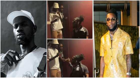 Black Sherif chills with Burna Boy and Popcaan in video; Ghanaians react to an incident that occurred on the occasion
