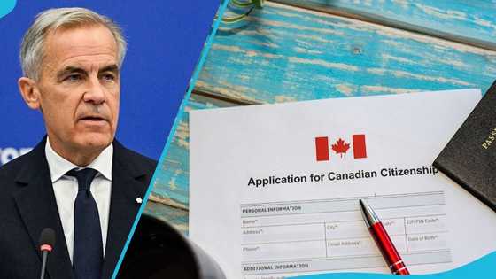 Canada citizenship application: How to confirm your file was received and is being processed