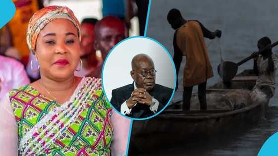 Child trafficking committee: MP calls for further probe into shady arrests